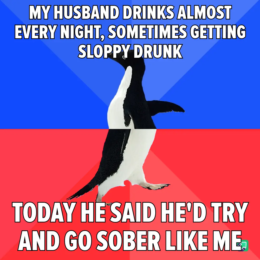 A penguin stands upright against a blue and red background, with white text overlaid in two sections. The top text reads 'MY…