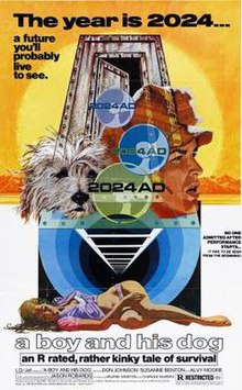 The Dog Steals the Show as the Best Actor in This Film