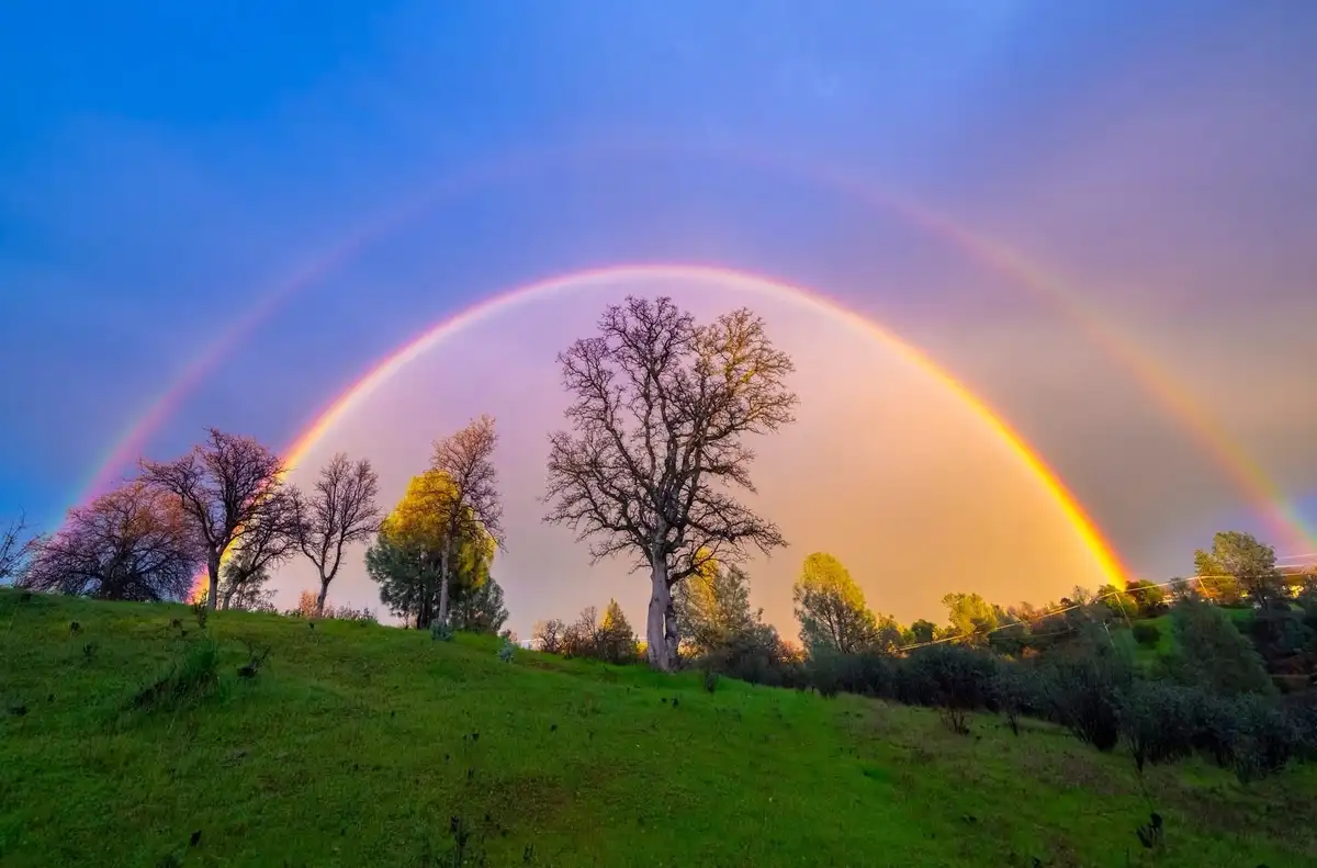 A vibrant double rainbow arcs across a twilight sky above a grassy hill dotted with trees, some bare and some with yellow…