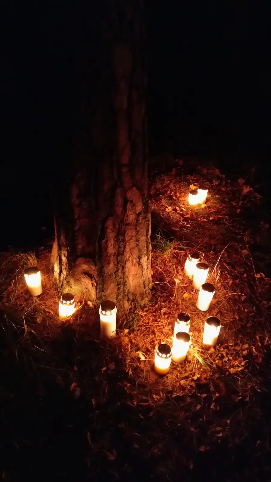 A nighttime photo shows numerous lit candles arranged in a circle around the base of a large tree, casting warm light on the…