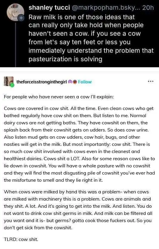 A screenshot of a tweet by 'shany tucci' discussing how people who haven't seen a cow might support raw milk, contrasting it…