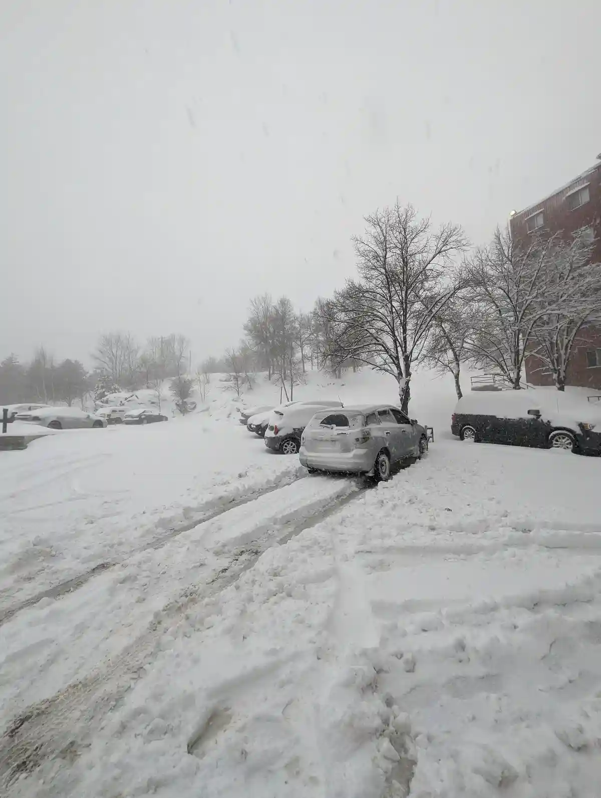 A snowy parking lot with several cars covered in snow, including a silver SUV in the foreground with visible tire tracks in…