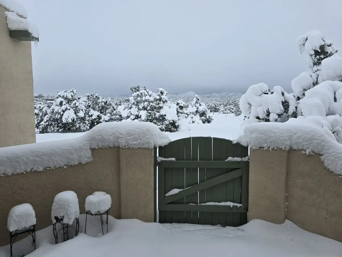A snowy outdoor scene shows a green wooden gate between beige stucco walls, all heavily blanketed in snow. Snow covers…