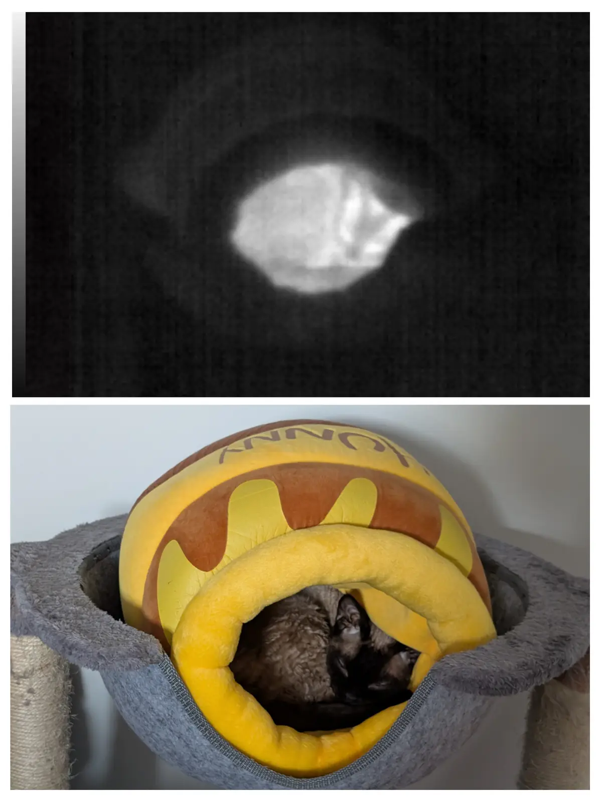 The image is split into two panels: the top shows a blurry, white, glowing shape on a dark background resembling a ghostly…