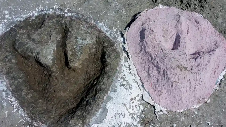 An overhead view shows two large, circular depressions in the ground side-by-side. The left footprint is dark brown and…