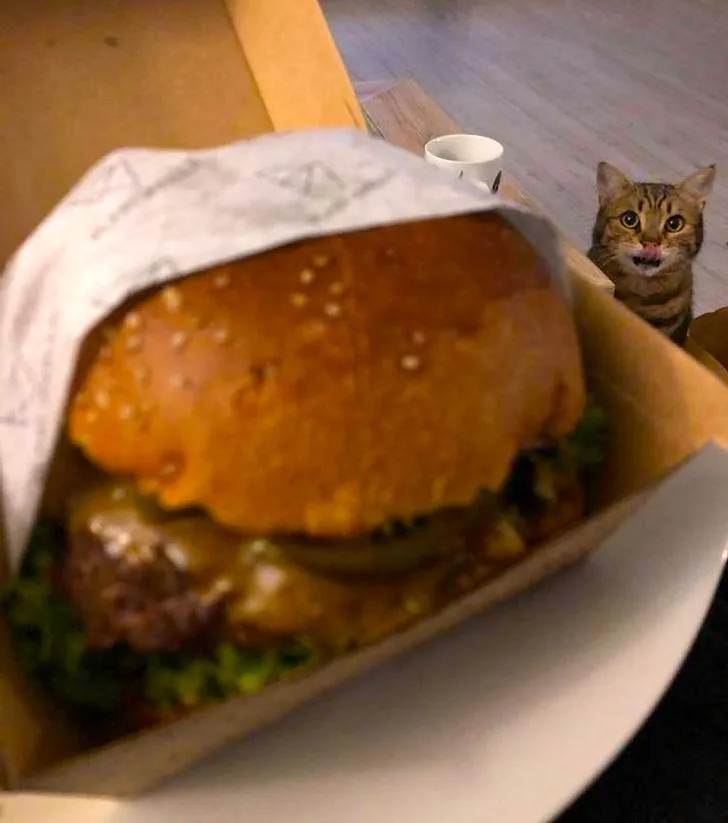 A close-up photo shows a large, sesame-seeded burger in a cardboard box, partially wrapped in paper. In the background, a…