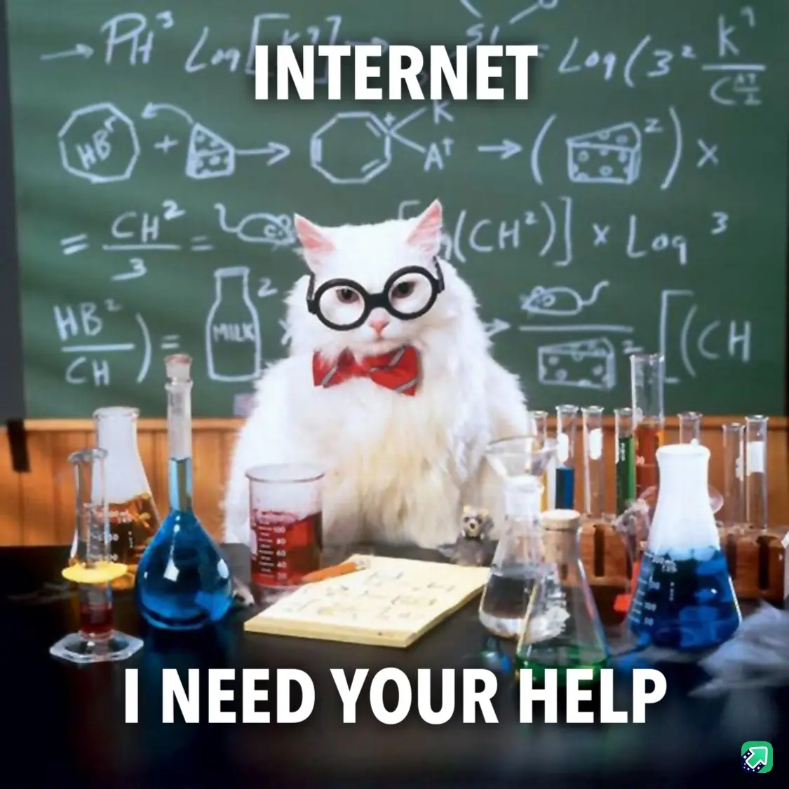 A white cat wearing round glasses and a red bowtie sits at a lab table surrounded by beakers and flasks, with a chalkboard…