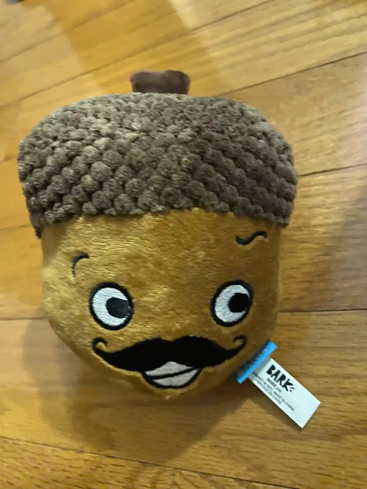 It's me, your beloved acorn!