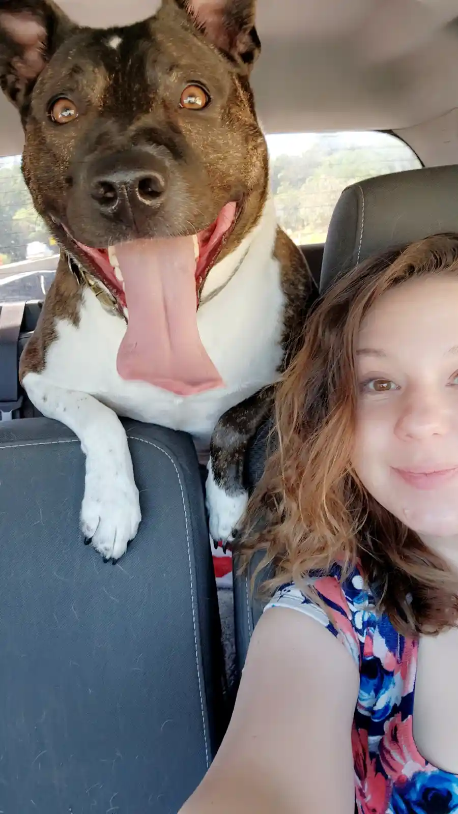 A selfie taken inside a car shows a woman in the passenger seat smiling at the camera while a large brown and white dog sits…