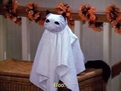 A white towel draped over a wicker chair forms a ghost costume, with a cat's head peeking out from the top. The cat's black…