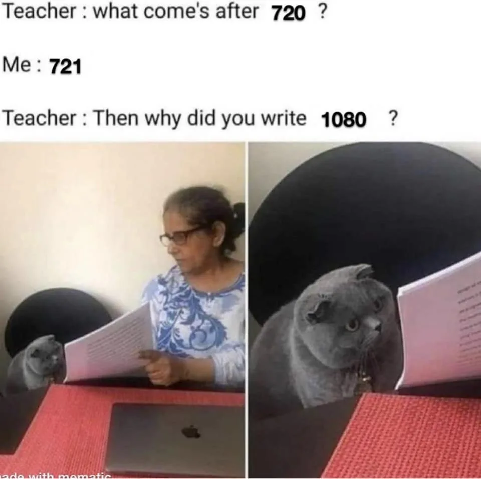 The image is split into two panels showing a grey cat reading a book. In the left panel, the cat sits beside a woman…