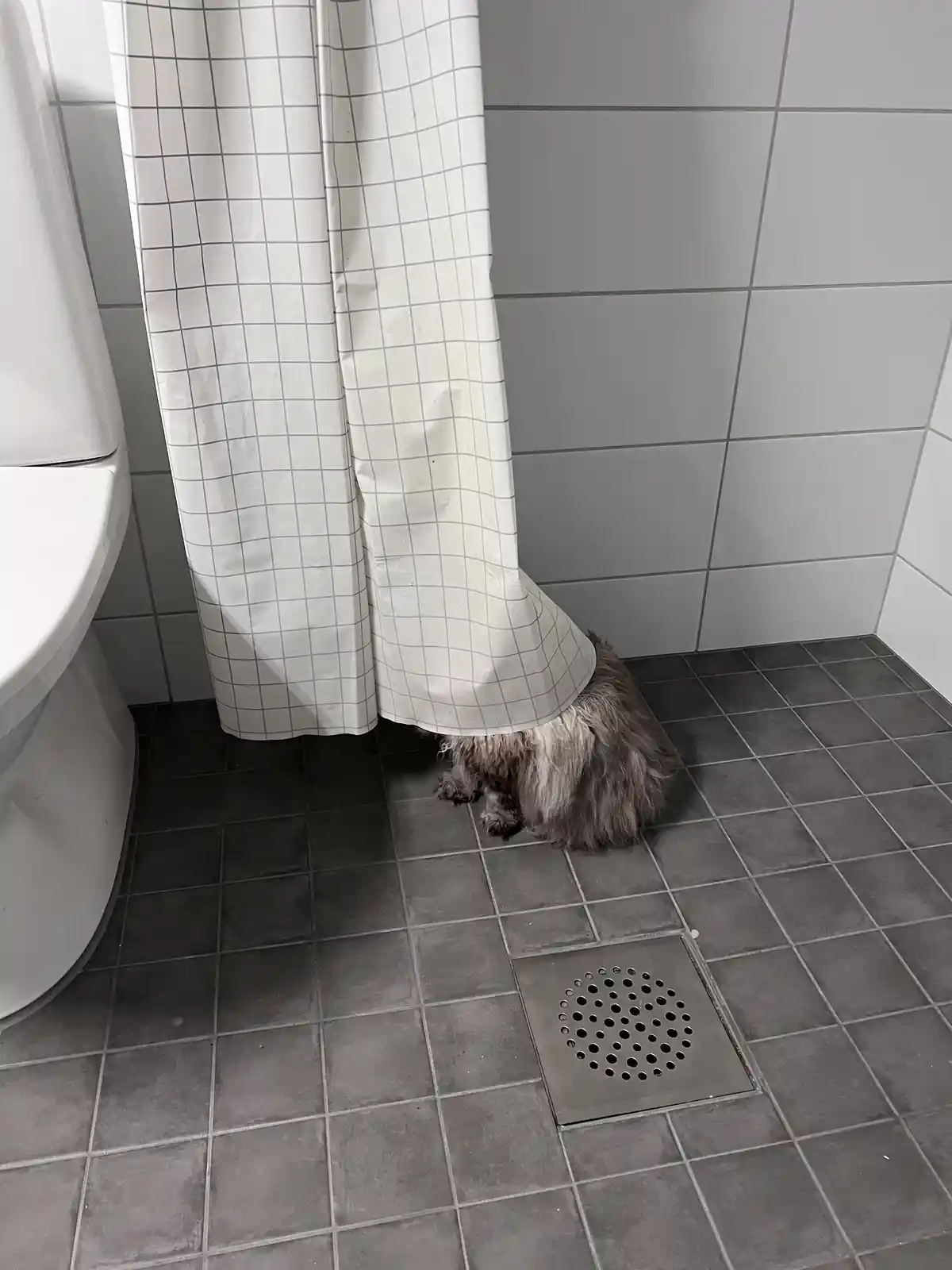 The Ultimate Game of Hide and Seek