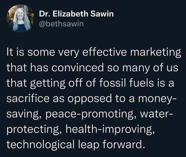 A screenshot of a tweet from Dr. Elizabeth Sawin (@bethsawin) showing her profile picture and a text post. The text argues…