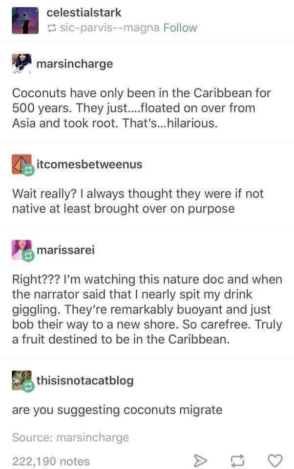 A screenshot of a Tumblr post showing a conversation where a user claims coconuts floated to the Caribbean from Asia and…
