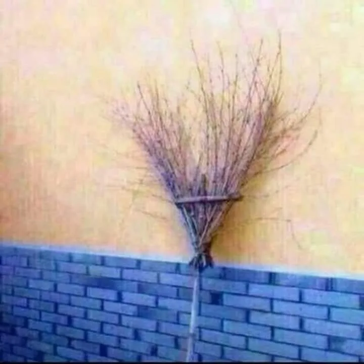 A broom made of twigs is leaning against a wall, its bristles fanned out like hair. The image has text overlaid that reads…