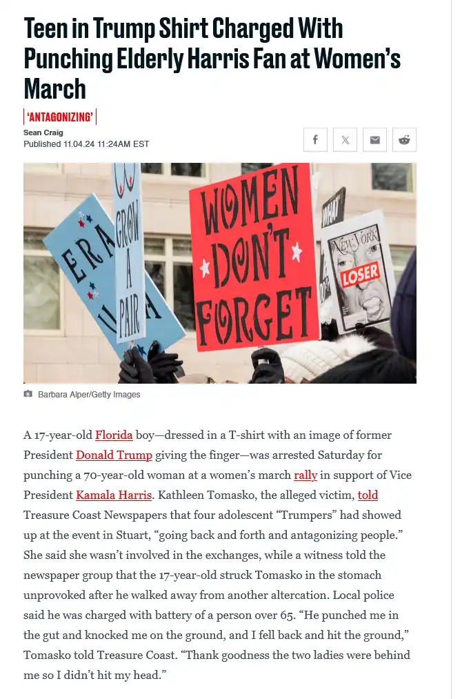 A news article screenshot shows protesters at a Women's March holding signs like 'WOMEN DON'T FORGET' and 'ERA GROW A PAIR'…