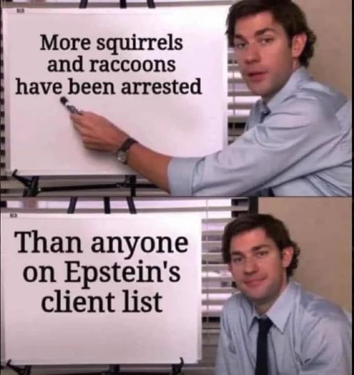 A two-panel meme featuring a man in a light blue shirt and tie, first pointing at a whiteboard with the text 'More squirrels…