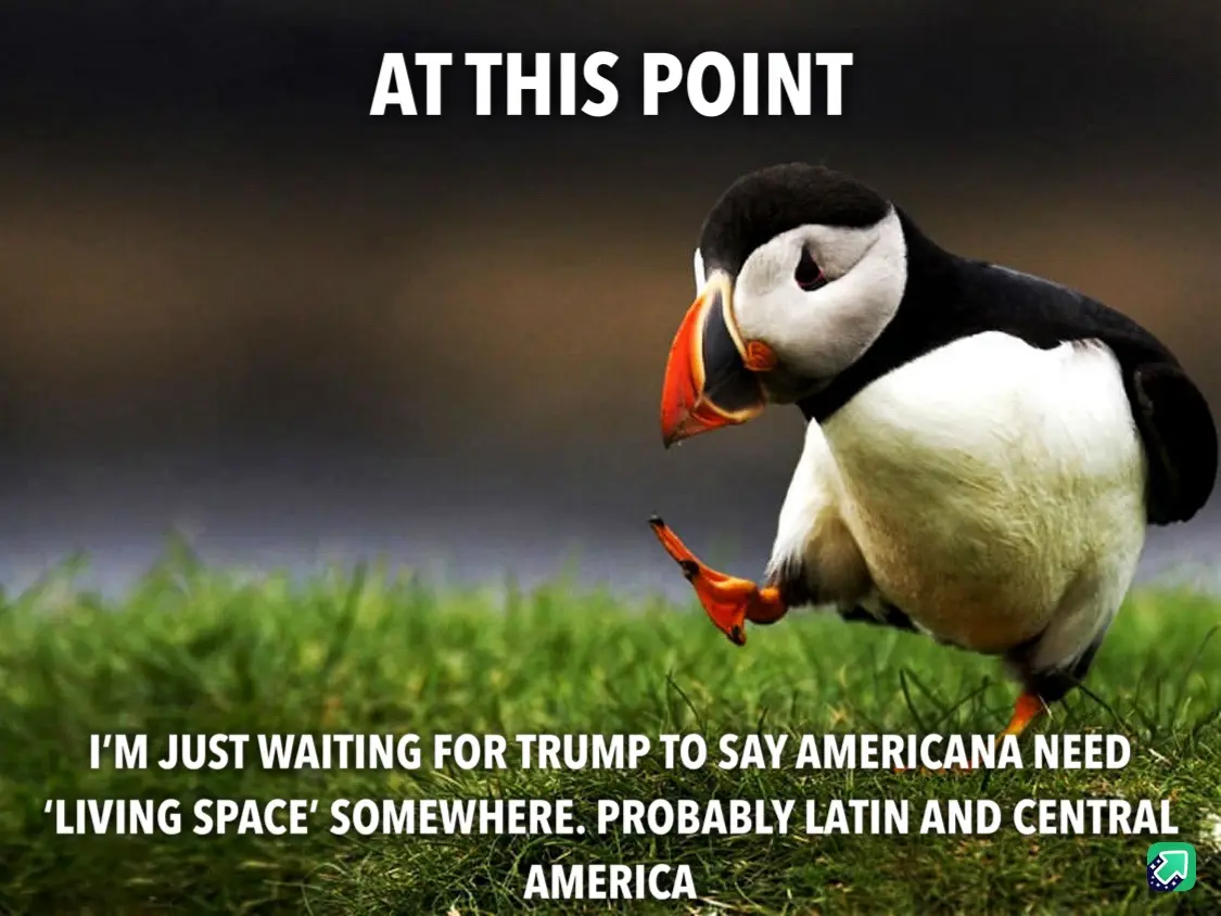 A photograph of a puffin standing on green grass, looking down with one foot lifted, overlaid with white text reading 'AT…