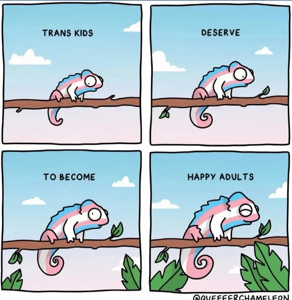 A four-panel comic shows a chameleon with a pink, blue, and white transgender pride flag pattern on its body. In the first…
