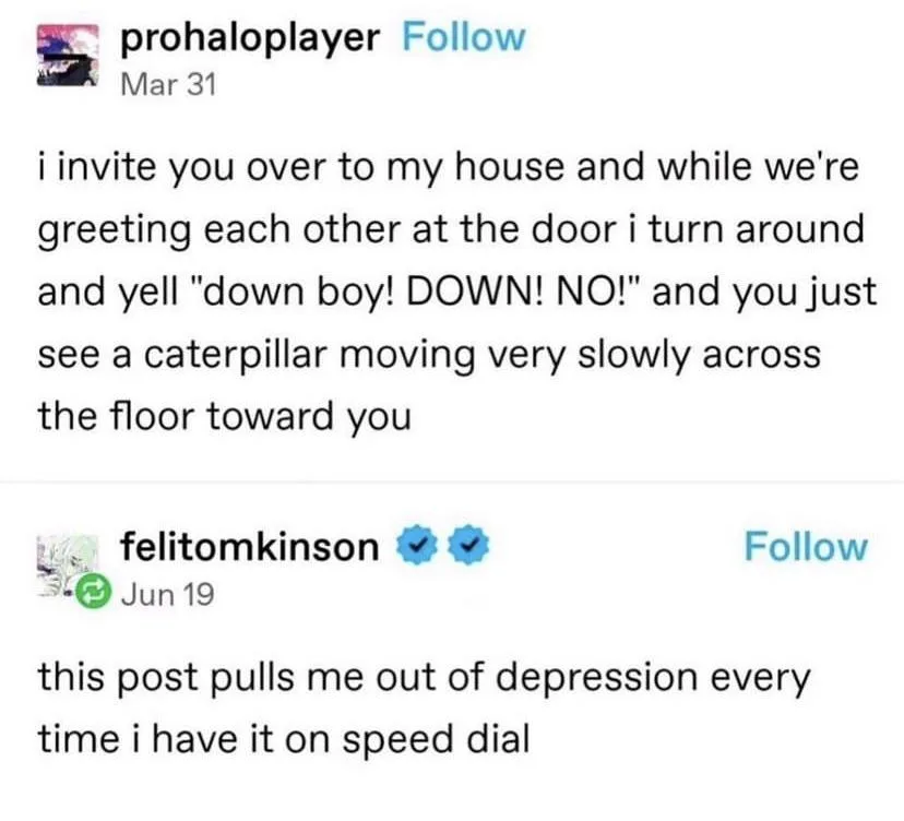 The image shows two Twitter posts. The first, by user 'prohaloplayer', describes inviting someone over and yelling 'down…