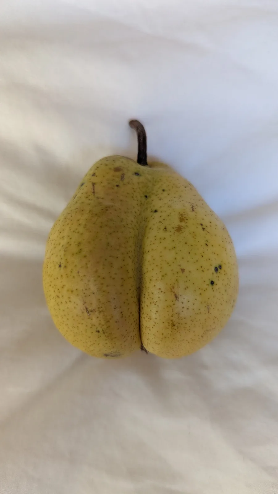a yellow pear with a natural split down the middle, resembling a human buttocks, rests on a white fabric surface. The…