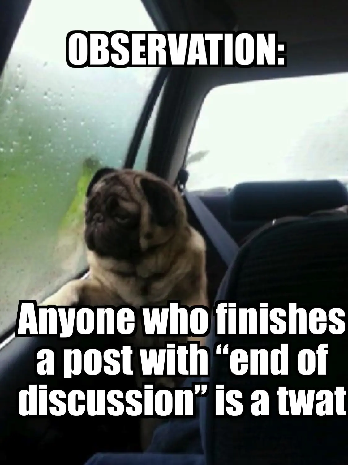 A pug sits in a car seat looking out a rain-speckled window, with bold white text overlaid that reads 'OBSERVATION: Anyone…