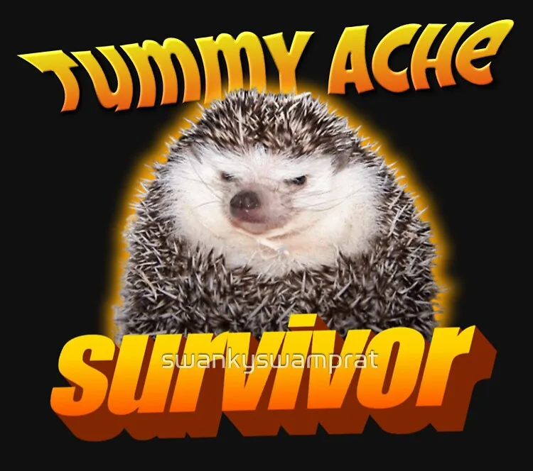 A close-up photo of a hedgehog with a sad, pained expression, set against a black background with a glowing yellow halo…