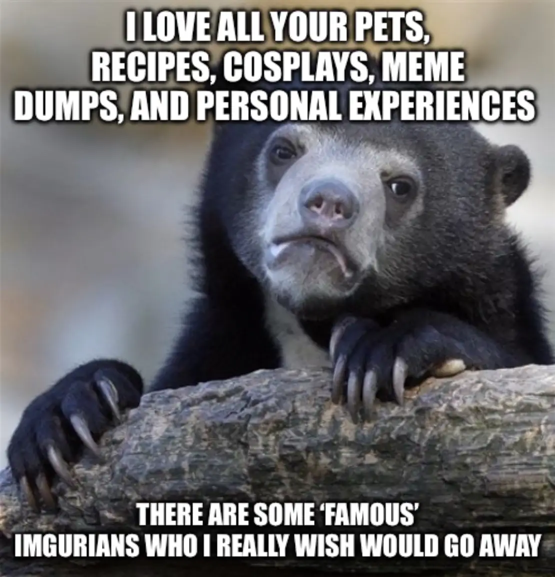 A close-up photo of a sad-looking spectacled bear resting its paws on a log, with white bold text overlaid in two sections…
