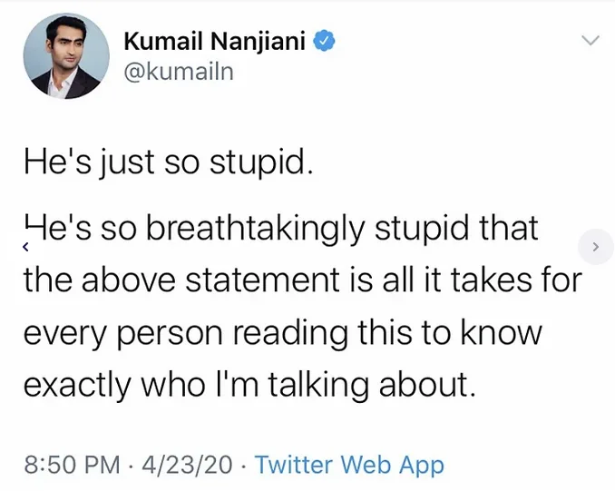 A screenshot of a tweet by Kumail Nanjiani showing his profile picture, handle, and a tweet that reads 'He's just so stupid…