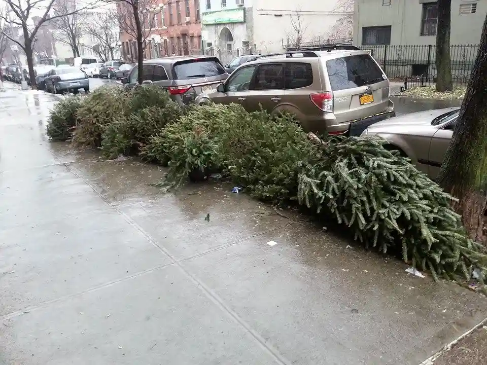 A row of discarded, bare Christmas trees lies on a wet sidewalk next to parked cars, with the overlaid text reading 'i'm not…