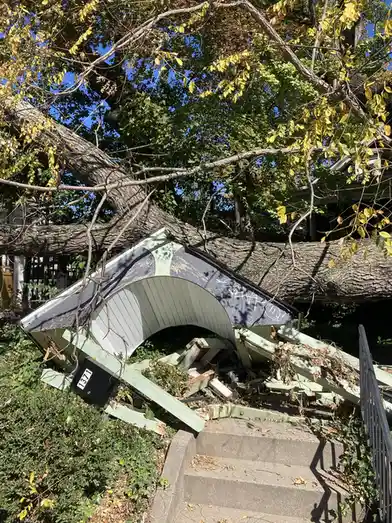 A large tree has fallen across the front of a house, crushing its porch and steps. The house number 1371 is visible on a…