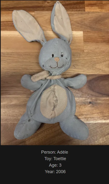 A worn, grey fabric bunny toy with large ears and a beige belly patch lies on a wooden floor. Overlaid text identifies it as…