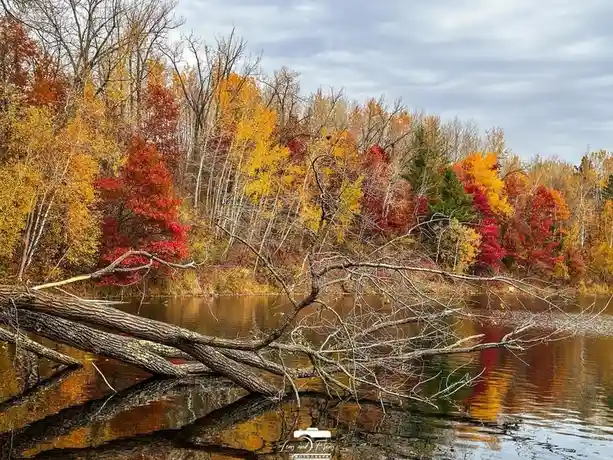 A serene autumn landscape shows a fallen tree trunk in a calm river, with vibrant red, orange, and yellow foliage on the…