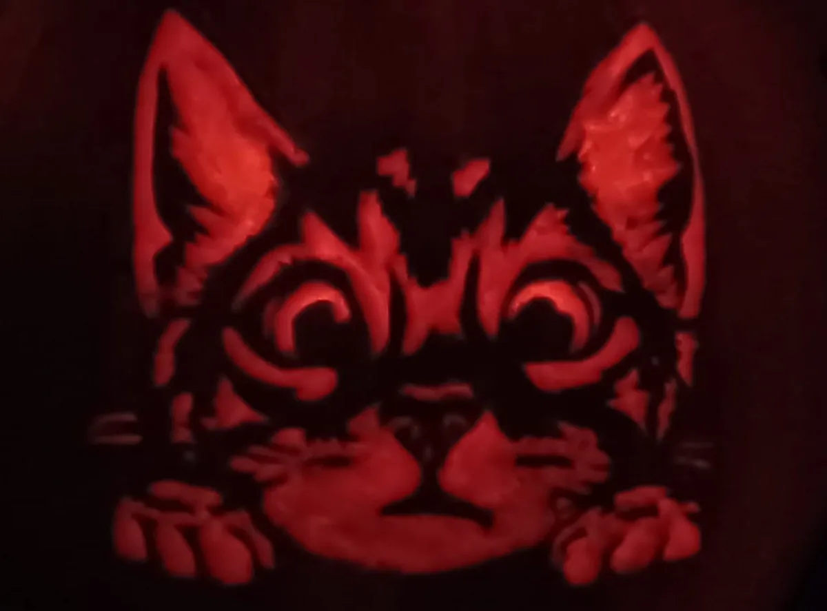 A carved pumpkin with a cat's face illuminated from within by a red light, showing large eyes and paws resting on the bottom…