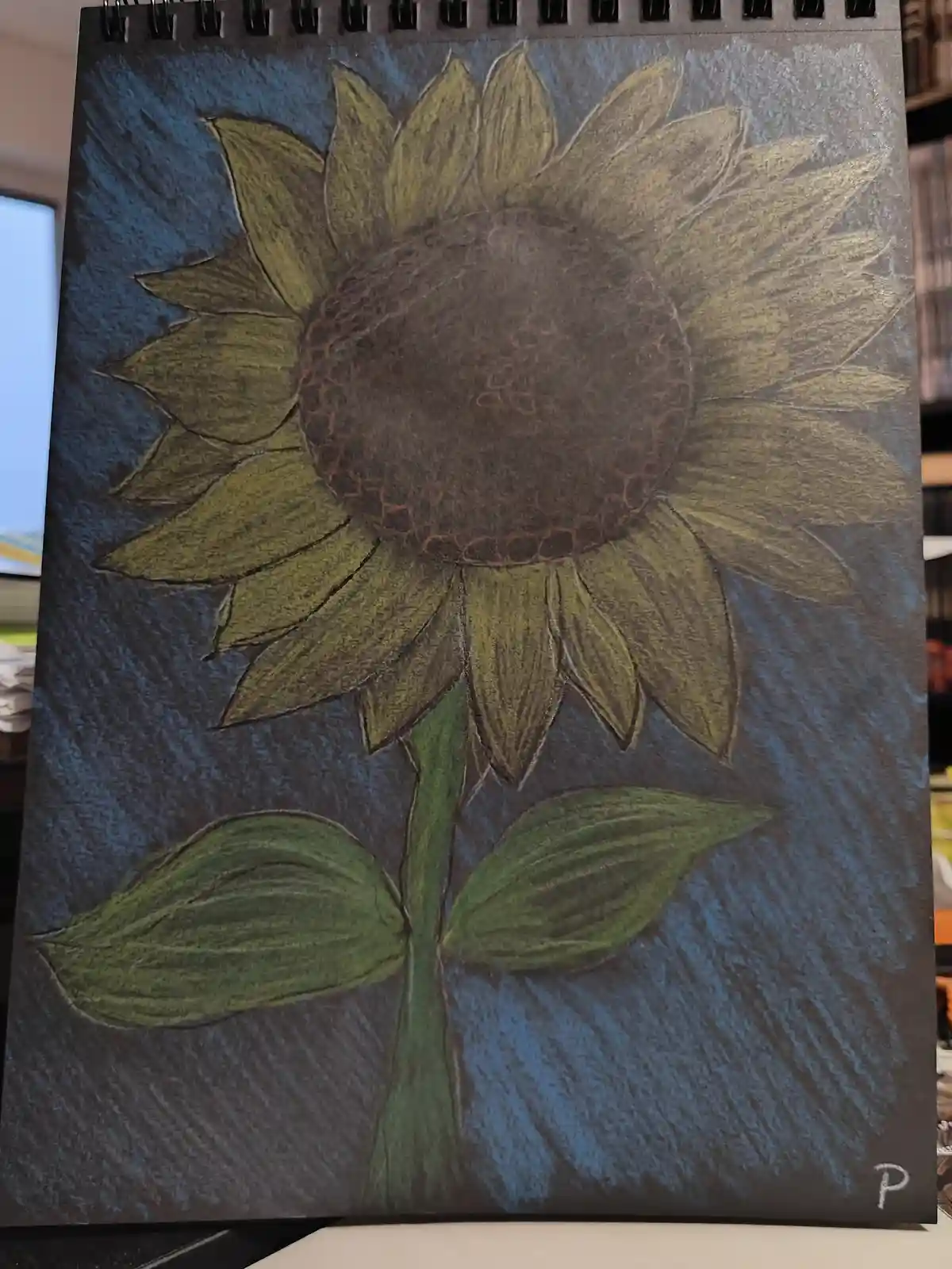 A hand-drawn sunflower on dark blue textured paper, rendered in muted greens and browns with visible chalk-like strokes, has…