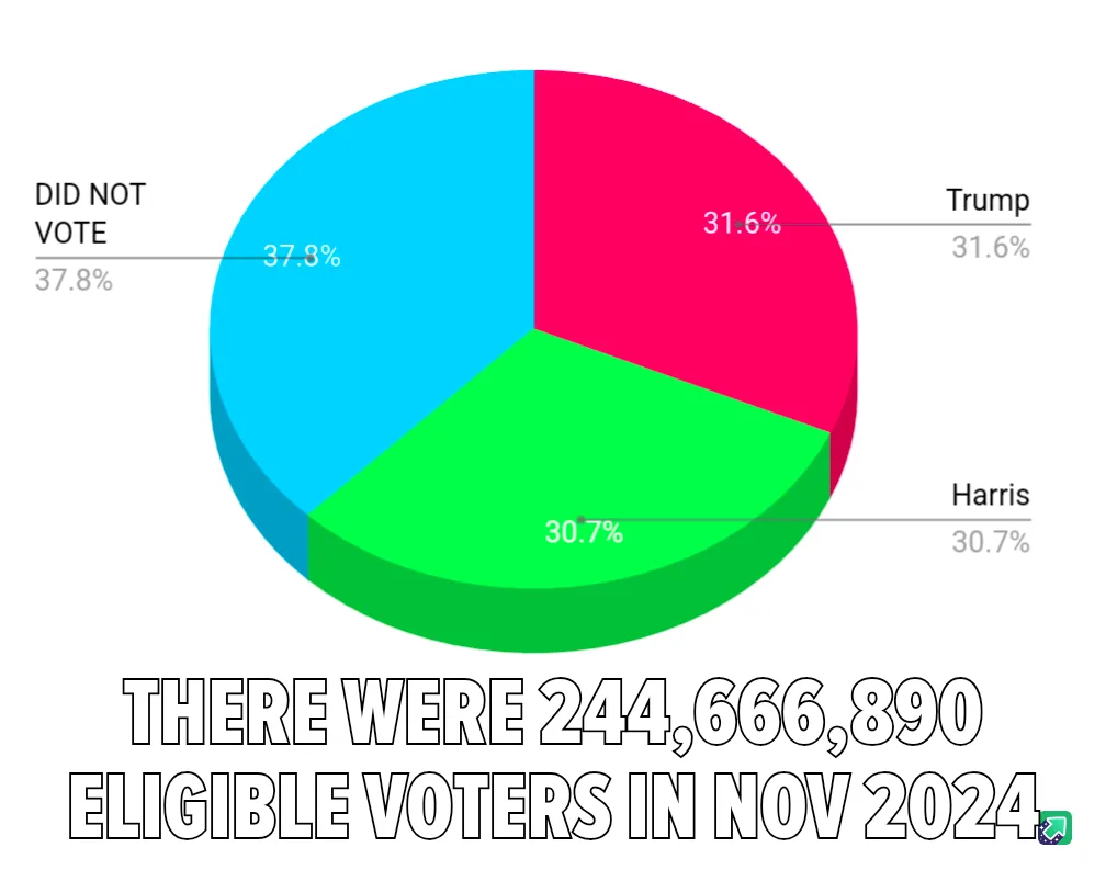 A pie chart shows three segments: 'DID NOT VOTE' at 37.8% (blue), 'Trump' at 31.6% (red), and 'Harris' at 30.7% (green)…