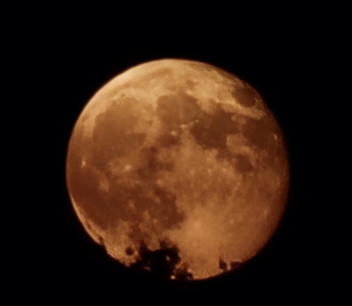 A close-up photograph shows a large, orange-hued full moon against a black sky, with visible craters and surface details…