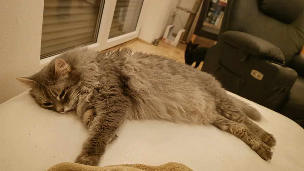 A fluffy gray tabby cat is sprawled out and sleeping on a white surface, possibly a table or ottoman, with its eyes…