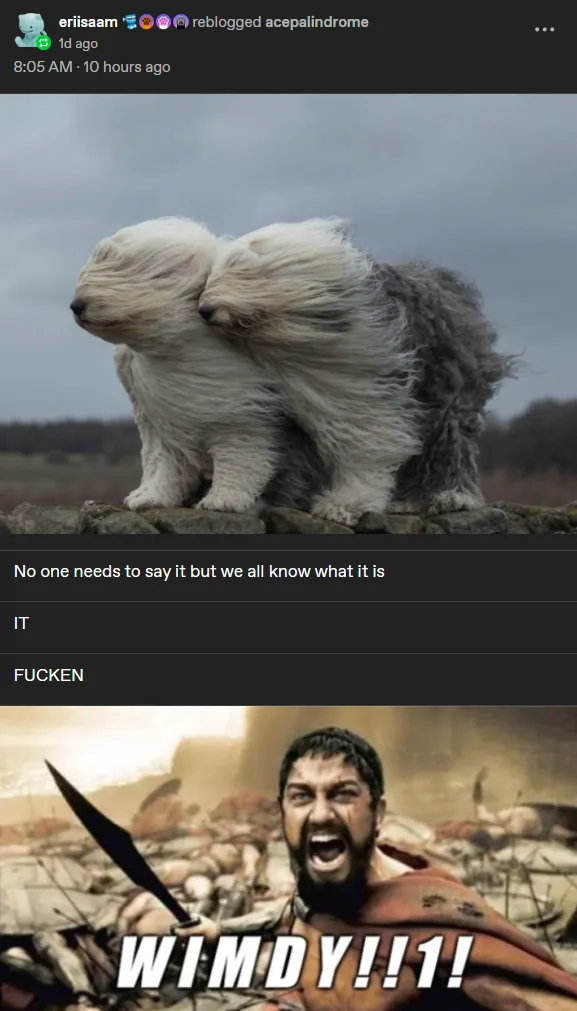 Such a windy day, isn't it?