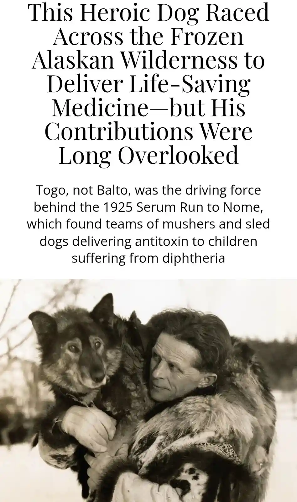 A black-and-white photo shows a man in a fur coat holding a dog, with text overlay claiming the dog, Togo, was the true hero…