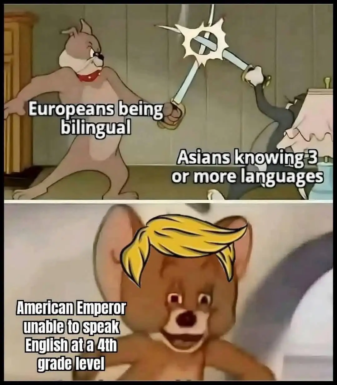The top panel shows Tom and Jerry cartoon characters clashing swords, with text labeling Tom as 'Europeans being bilingual'…