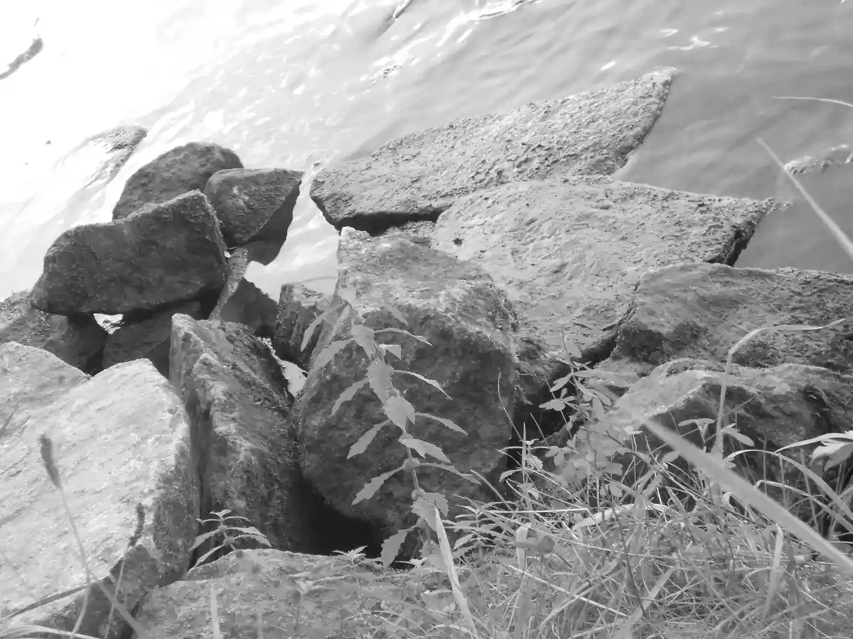 A Glimpse of Regensburg in Black and White - September 2023