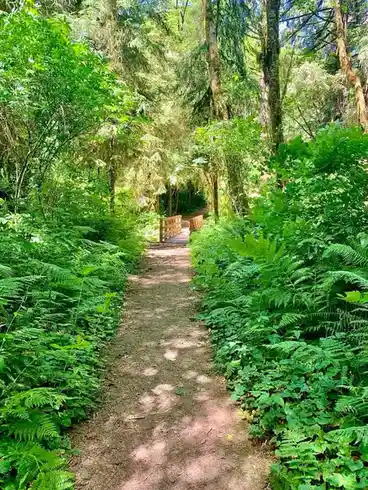 The Journey Ahead: Finding Your Path