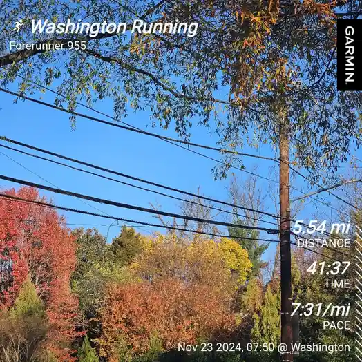 A screenshot from a Garmin Forerunner 955 running watch displays a workout in Washington on November 23, 2024, showing 5.54…