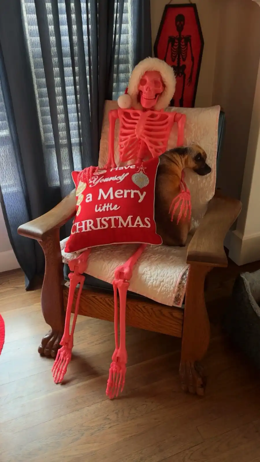 A pink plastic skeleton wearing a white fuzzy Santa hat sits in a wooden armchair, holding a red pillow that reads 'Have…