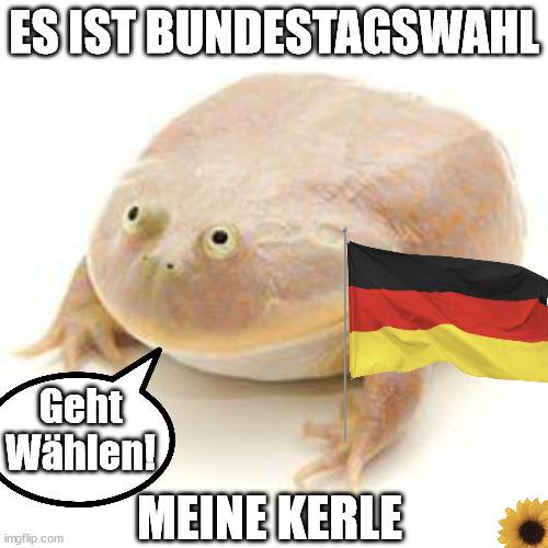 A pale, round-faced frog with a German flag stuck to its back and a sunflower in the corner. Text overlays read 'ES IST…