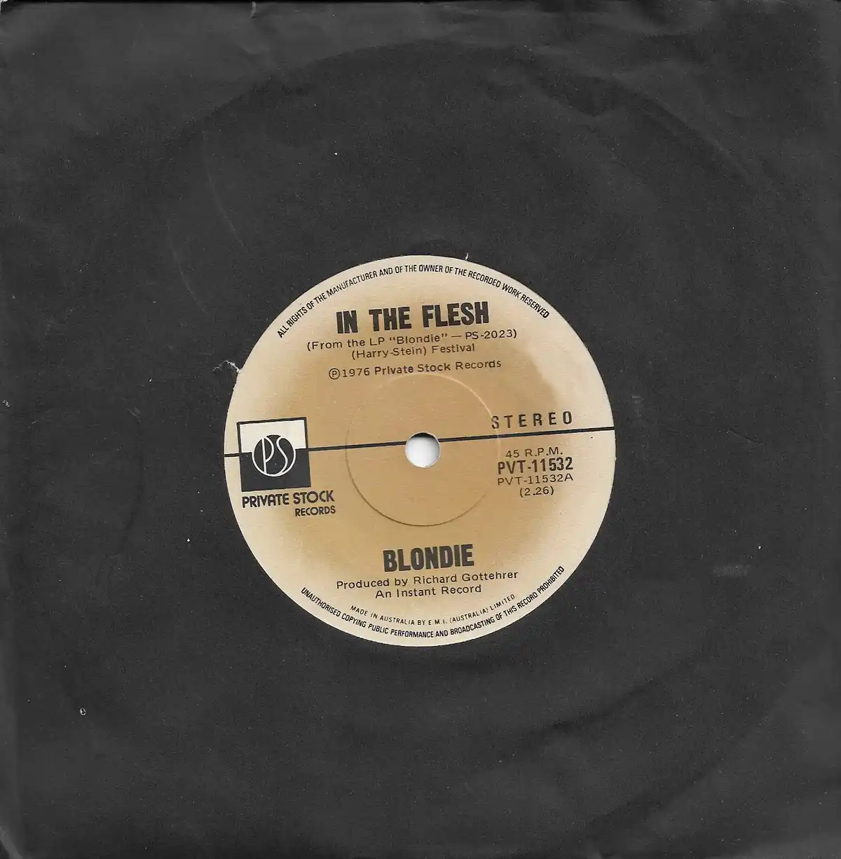 Blondie Rocks: In the Flesh on Private Stock