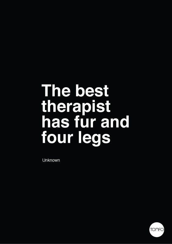 A black background with white text that reads 'The best therapist has fur and four legs' and 'Unknown' underneath. The text…