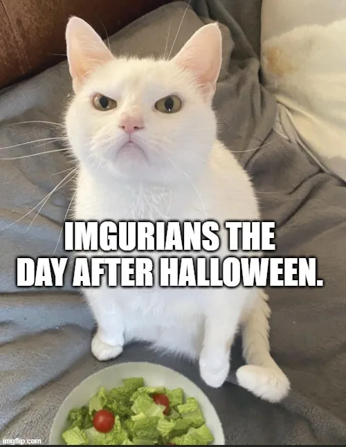 A white cat with a grumpy, unimpressed expression sits on a gray blanket, looking down at a bowl of salad with cherry…