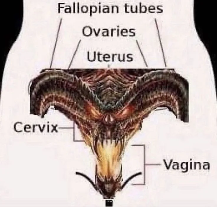 An anatomical diagram of the female reproductive system is humorously replaced with the head of the demonic creature from…